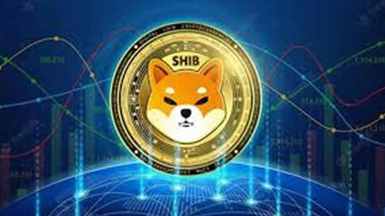 Shiba News